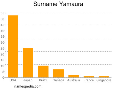 Surname Yamaura