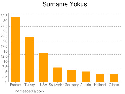 Surname Yokus