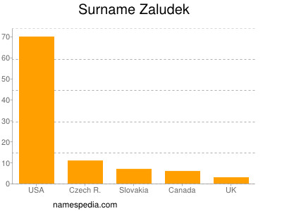 Surname Zaludek