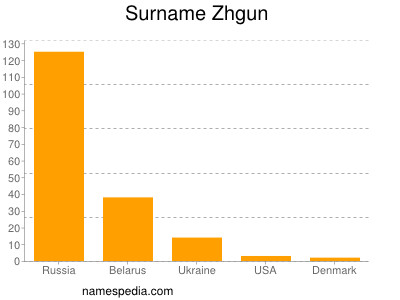 Surname Zhgun