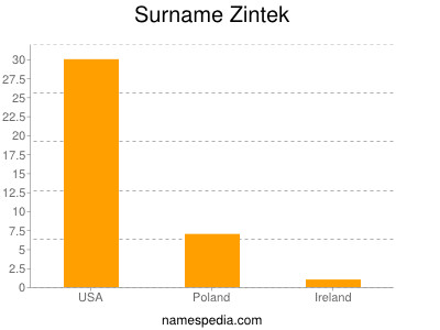 Surname Zintek