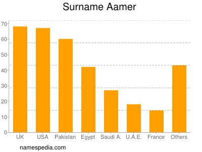 Surname Aamer