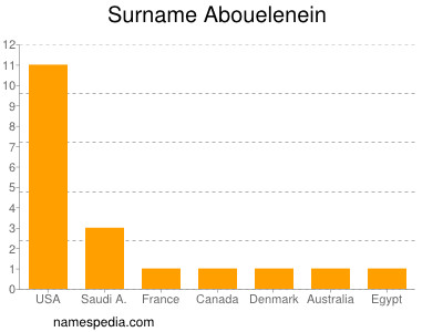 Surname Abouelenein