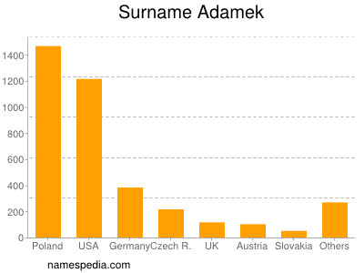 Surname Adamek