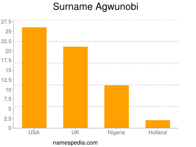 Surname Agwunobi