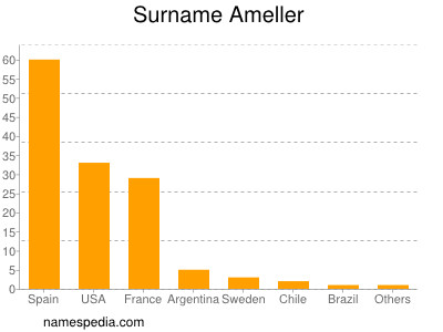 Surname Ameller