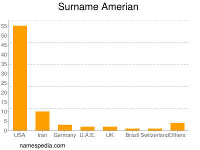 Surname Amerian