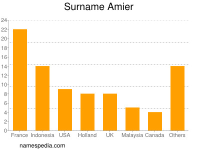 Surname Amier