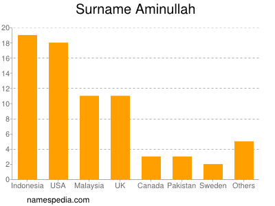 Surname Aminullah