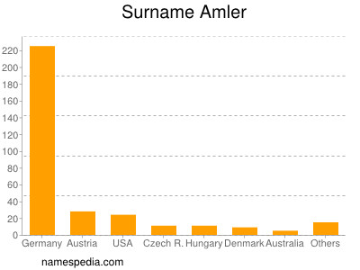 Surname Amler