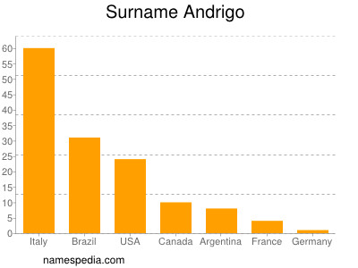 Surname Andrigo