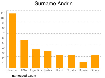 Surname Andrin