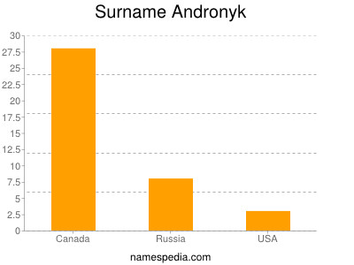 Surname Andronyk