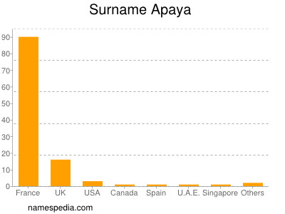 Familiennamen Apaya