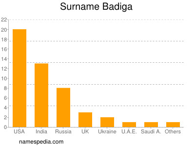 Surname Badiga
