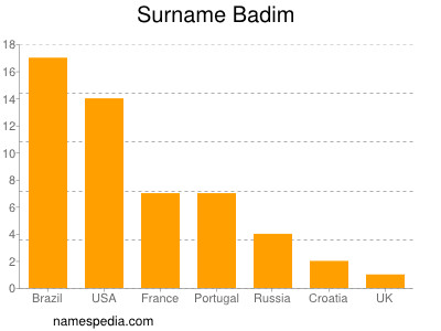 Surname Badim