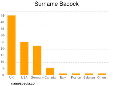 Surname Badock