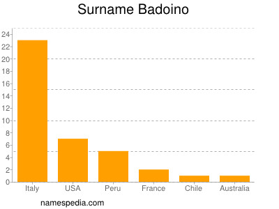 Surname Badoino