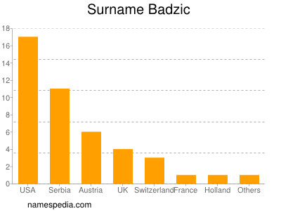 Surname Badzic