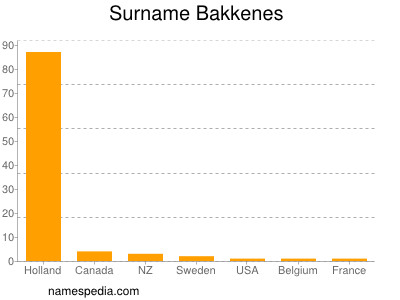 Surname Bakkenes