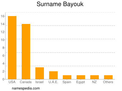 Surname Bayouk