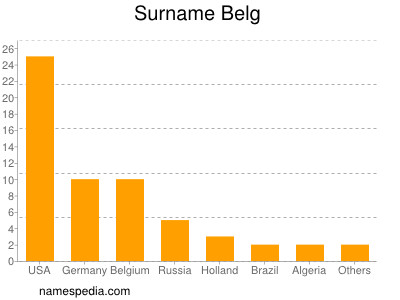 Surname Belg