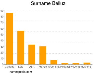 Surname Belluz
