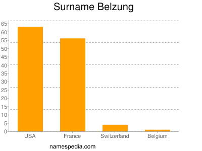 Surname Belzung