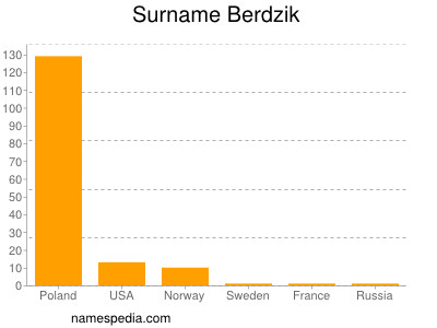 Surname Berdzik