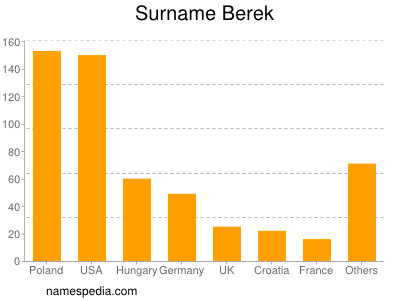 Surname Berek