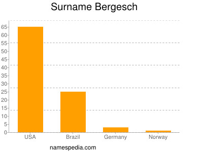 Surname Bergesch