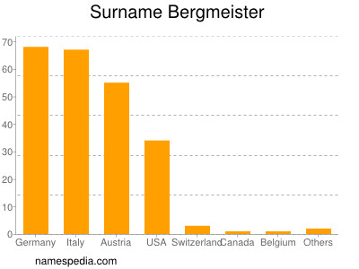Surname Bergmeister