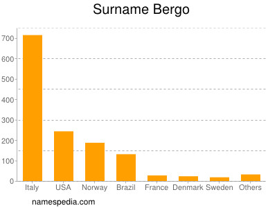 Surname Bergo