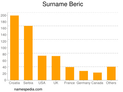 Surname Beric