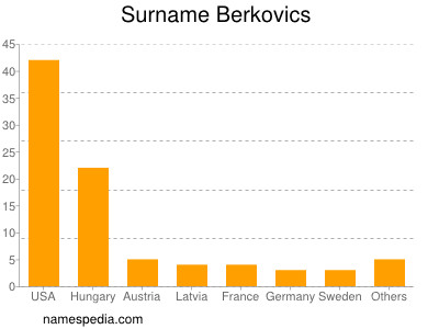 Surname Berkovics