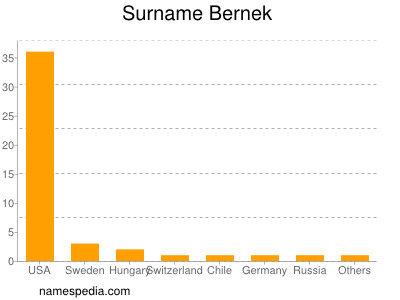 Surname Bernek