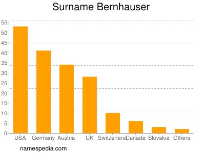 Surname Bernhauser