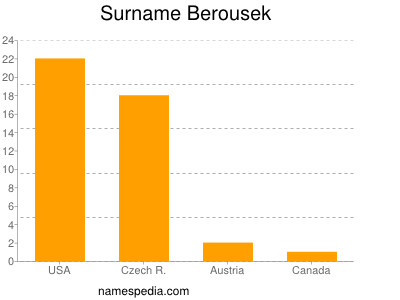 Surname Berousek