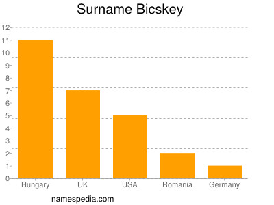 Surname Bicskey