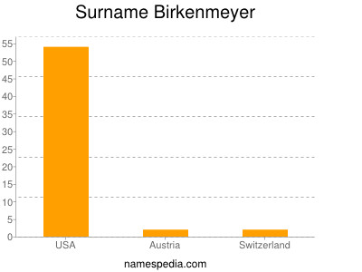 Surname Birkenmeyer
