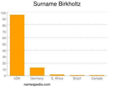 Surname Birkholtz