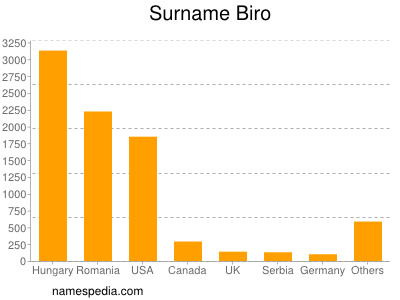 Surname Biro