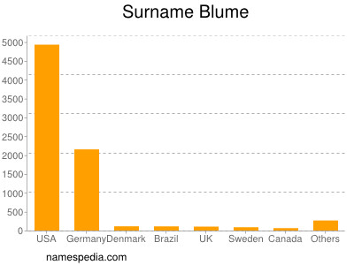 Familiennamen Blume