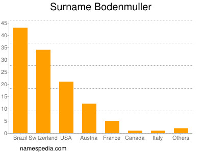 Surname Bodenmuller