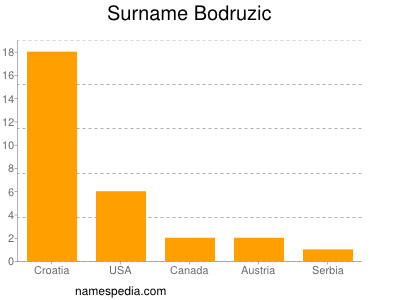 Surname Bodruzic