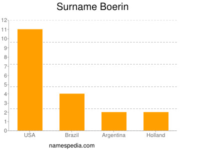 Surname Boerin