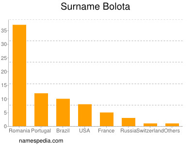 Surname Bolota