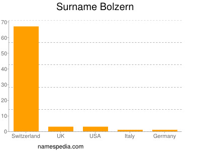 Surname Bolzern