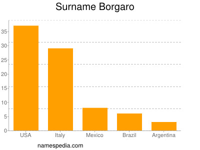 Surname Borgaro