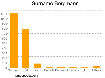 Surname Borgmann